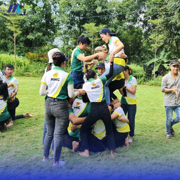 Áo team building cộc tay thoáng mát, co giãn 4 chiều dễ vận động